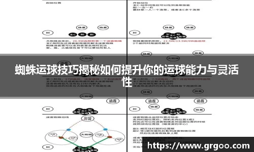 蜘蛛运球技巧揭秘如何提升你的运球能力与灵活性