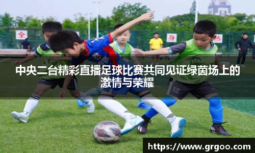中央二台精彩直播足球比赛共同见证绿茵场上的激情与荣耀
